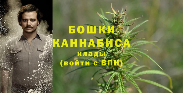 дживик Мегион