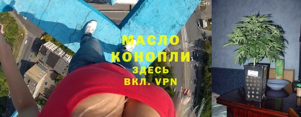 дживик Мегион
