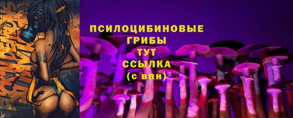 jwh Медногорск