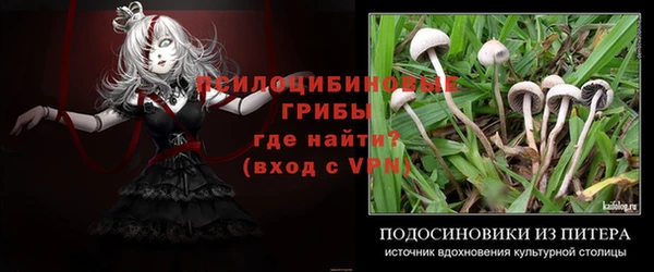 jwh Медногорск