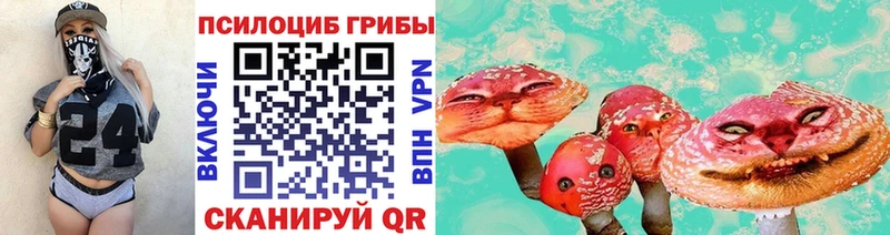 Галлюциногенные грибы GOLDEN TEACHER  продажа наркотиков  Новороссийск 