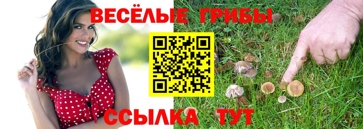Новороссийск  Псилоцибиновые грибы Cubensis  Псилоцибиновые грибы мицелий  цены наркотик  Вход с VPN 