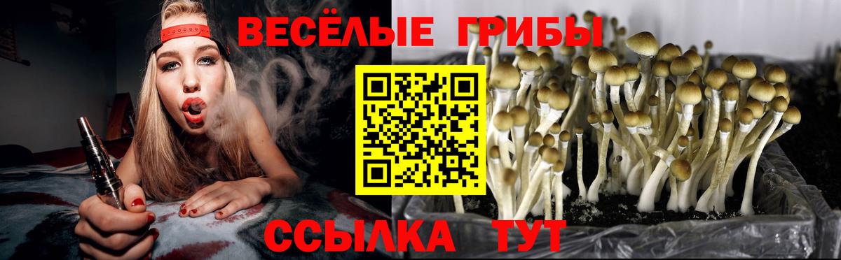 Метадон Новороссийск