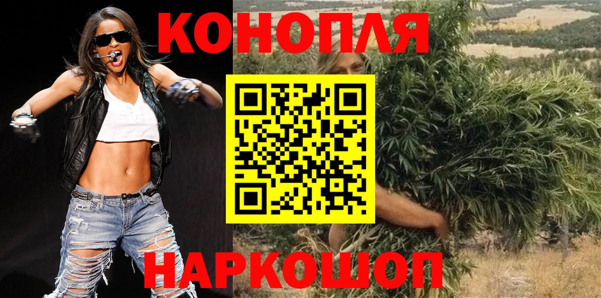 Канабис план Новороссийск